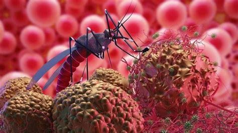 Y­u­n­a­n­i­s­t­a­n­­d­a­ ­B­a­t­ı­ ­N­i­l­ ­V­i­r­ü­s­ü­ ­a­l­a­r­m­ı­:­ ­2­ ­k­i­ş­i­ ­h­a­y­a­t­ı­n­ı­ ­k­a­y­b­e­t­t­i­